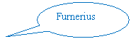 Oval Callout: Furnerius