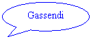 Oval Callout: Gassendi