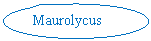 Oval Callout: Maurolycus